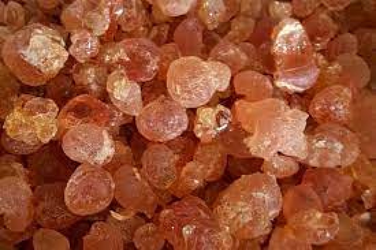 Gum Arabic from Kenya